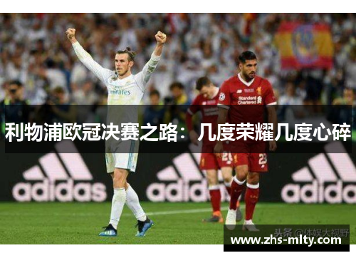 利物浦欧冠决赛之路：几度荣耀几度心碎